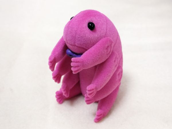 ケンエレファントの「テディなクマムシ」