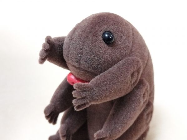 ケンエレファントの「テディなクマムシ」
