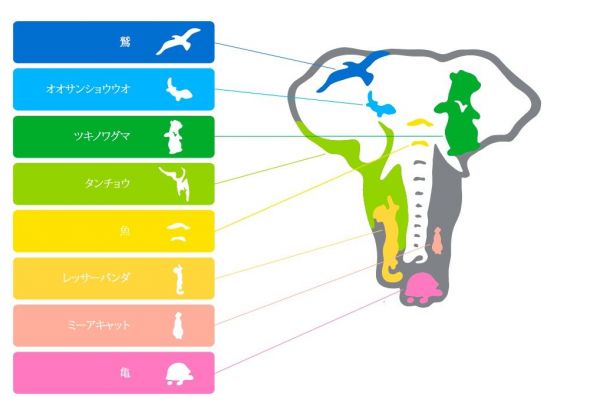 一見するとゾウのロゴマークですが、8種の動物が隠れています