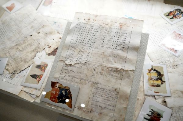 オシラサマ調査票