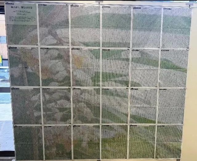 28ページの紙面を繋ぎ合わせると平和の象徴とされる花「月桃」の写真が完成した＝2025年6月22日、沖縄県那覇市久茂地、沖縄タイムス提供