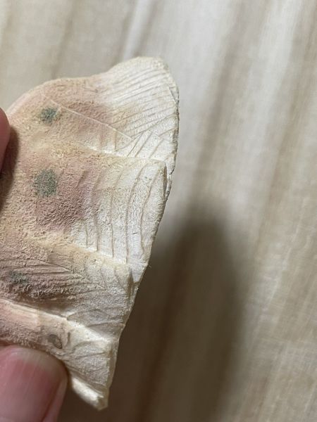 【メイキング】餃子はこうして作られました