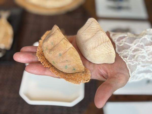小学5年生の夏休みに作った餃子