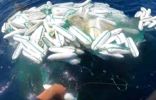 海を漂っていた漁網＝第七管区海上保安本部提供