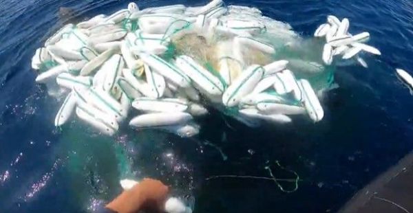 海を漂う漁具＝第七管区海上保安本部提供
