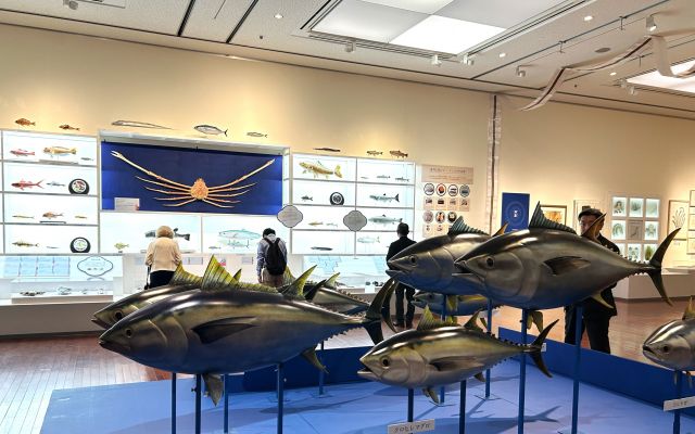 マグロの実物大模型のほか、本展のために作られた魚介のプラスティネーション標本が並ぶ熊本会場