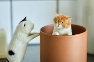 旅立った愛猫をモデルに、家の中を〝大冒険〟「にっこりしてほしい」