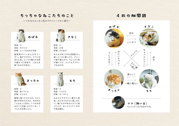 作品集『ちっちゃなねこたちのおるすばん』(小学館)より