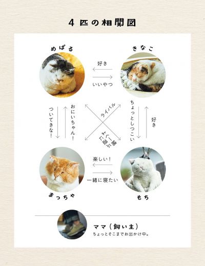 作品集『ちっちゃなねこたちのおるすばん』より
