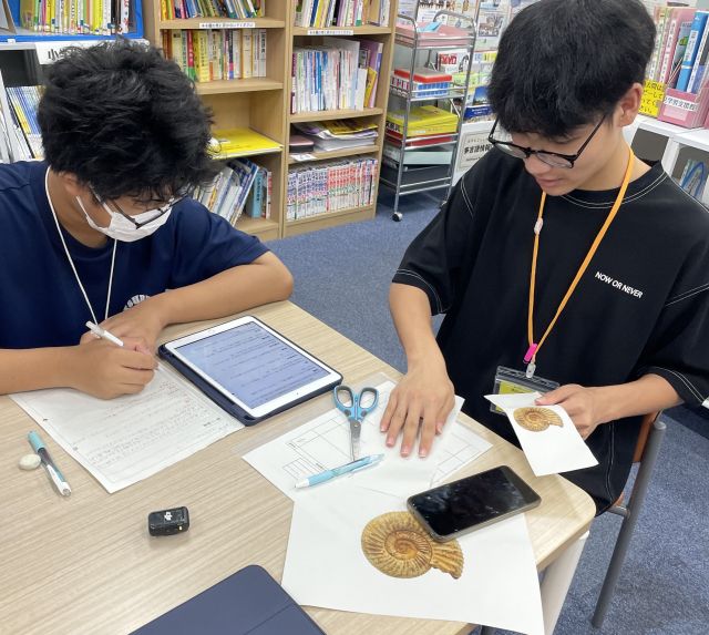 アンモナイトについて調べてレポートを書くのを手伝う李さん