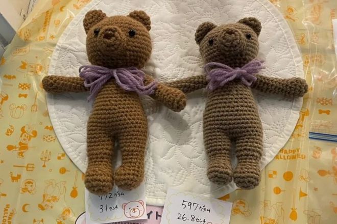 772g、31cmのウエイトベア(左)と、597g、26.8cmのウエイトベア。いずれも小さく生まれた子どもと同じ体重で作りました