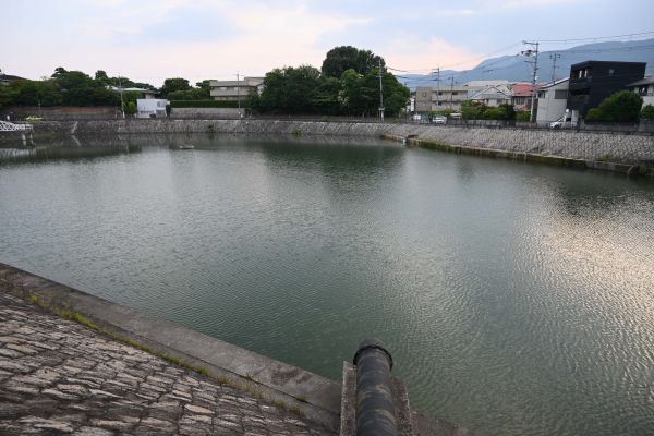 兄妹が暮らした横穴があるニテコ池＝兵庫県西宮市