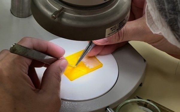 手元を撮影してみたものの、何も映らず