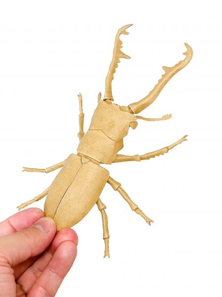 オダカマサキさんの作品