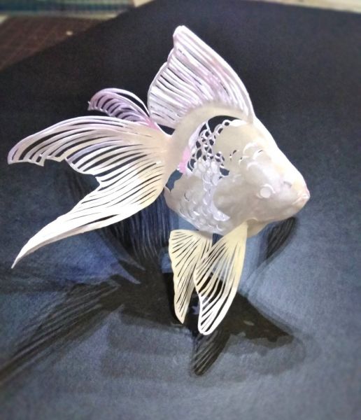 紙屋初瀬さんの作品