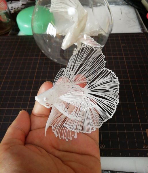 紙屋初瀬さんの作品