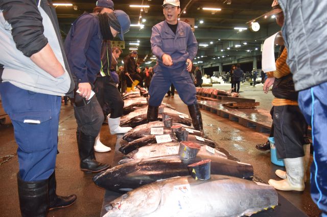 市場で行われている水産物の競り