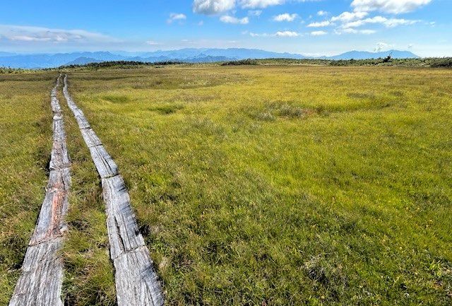 尾瀬国立公園の北東に位置し、栃木・福島県境にそびえる田代山は、山頂全体が湿原となっている=2025年9月7日午前9時28分、福島県南会津町、岡本智撮影