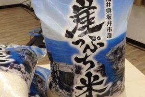 「崖っぷち米」スーパーに突然の登場　あえての命名…こめた思い