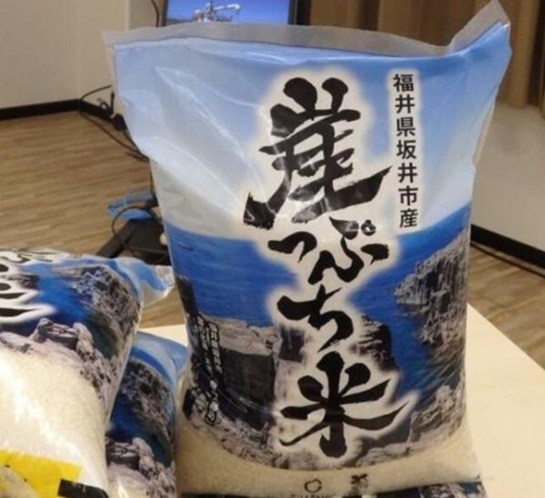 崖っぷち米