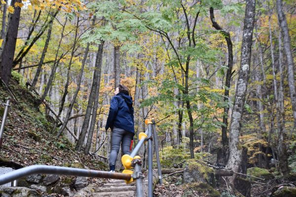 御巣鷹の尾根を登る山上優さん