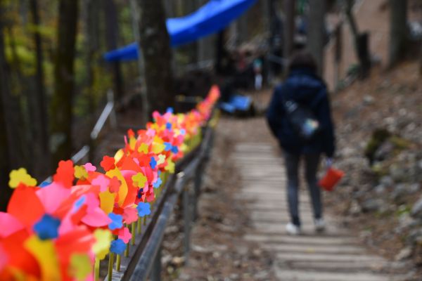 御巣鷹の尾根を下る山上優さん
