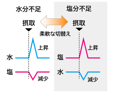 ドーパミン量の変化