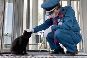 猫と警備員、黒猫ケンちゃんが天国へ　「今でもあの角から来そうで」