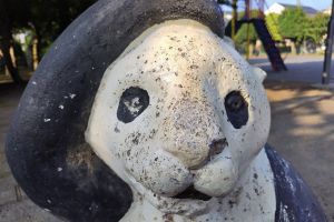 「パンダ公園、なぜこんなに」住宅街にたくさんある理由、聞いてみた