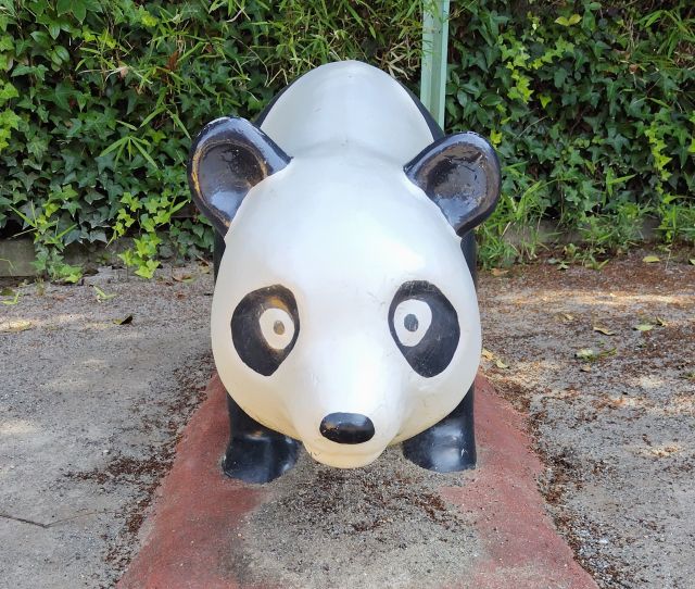 中野の公園にいたパンダ