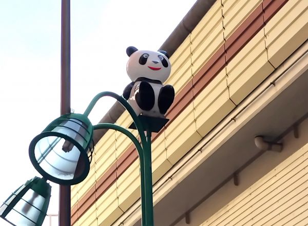 笹塚の街路灯にいる「パンダ」