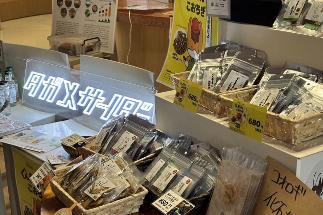 昆虫を使った食品を販売するブース