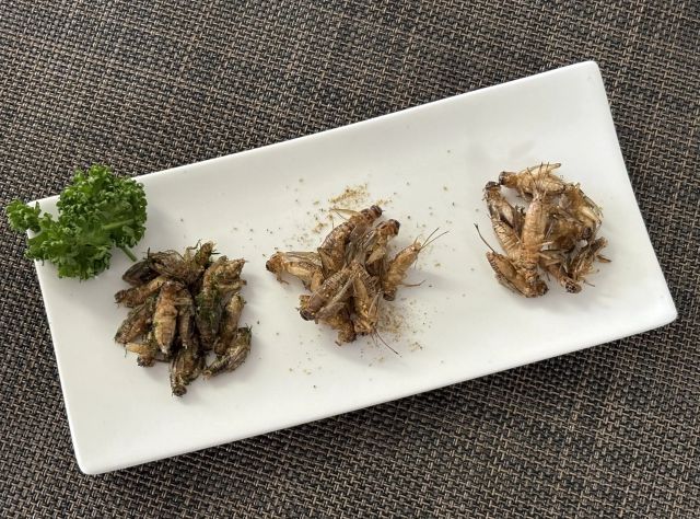 究極の揚げコオロギ