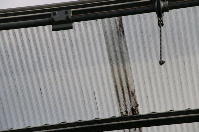 天井のほとんどすべてが被害があったそうです