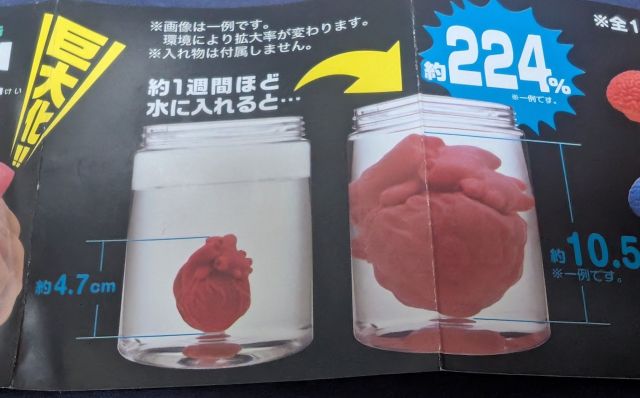 説明書には大きくなったときのイメージも