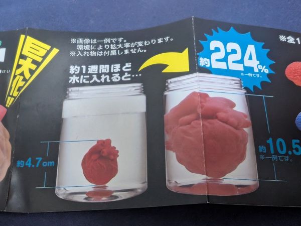 説明書には大きくなったときのイメージも