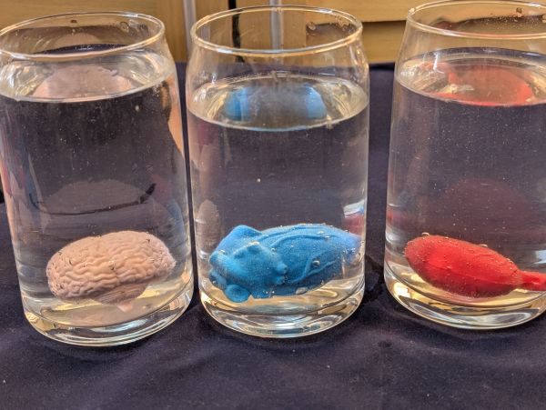 水に入れてみたばかりの状態は、まだ小さいようです