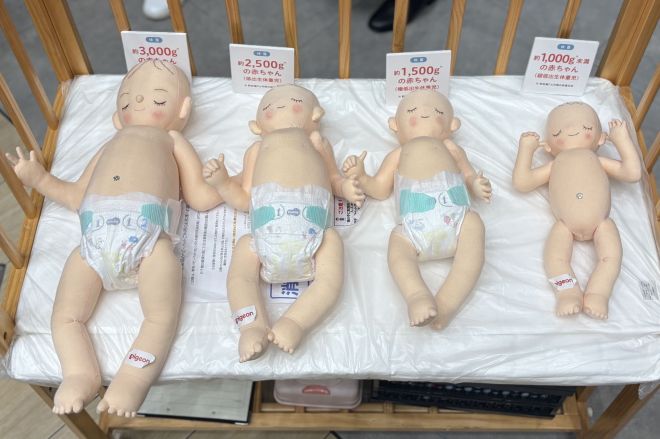 （右から）約1000g未満、約1500g、約2500g、約3000gの赤ちゃんの人形。世界早産児デーを前に開かれたイベントで展示されていました