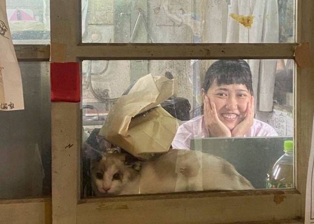 吉田寮現棟の玄関にてネコと写る板谷めぐみさん