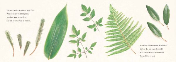 英語版の『OSECHI』より＝福音館書店提供