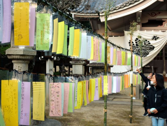 コロナ収束を願う短冊がお目見えした＝2021年11月14日、岐阜県羽島市江吉良町の野々宮神社、高木文子撮影