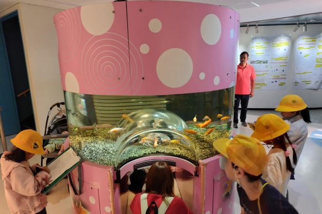 魚を観察する子どもたち