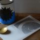 tabel　野草茶の缶かん　リーフ(赤紫蘇茶/カキドオシとハトムギ茶/月桃茶)
