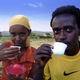原木のある森コーヒーのはじまりの物語(日本語版）　                            　　　　　　　　　　　　　  The Legend of Ethiopian Coffee　　