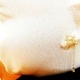 ゆらにょろパールピアス(イヤリング)
