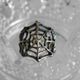 ★Spider's Web Ring★(ダイヤ*SV)クモの巣