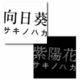 サキノハカ【向日葵/紫陽花】CD　2枚セット
