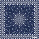 Bandana bbb1312_1478A