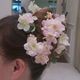 アレンジ自由♪SAKURAと紫陽花のヘッドドレス〜Cherry blossoms in full bloom〜
