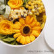 Coffret Collection/Citrus Yellow